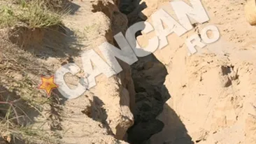 Seceta distruge sudul tarii! Vezi aici imagini incredibile cu pamantul crapat in doua si animale care nu mai au ce manca!