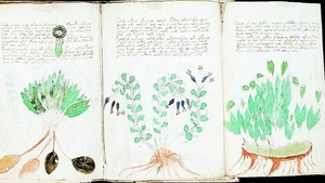 Manuscrise cu mesaje misterioase Textele stravechi ne infatiseaza o alta lume