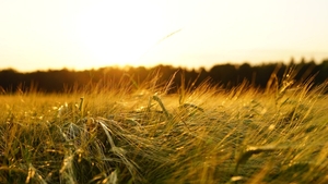 Prognoza meteo ANM pentru următoarea lună. Cum se vor schimba temperaturile