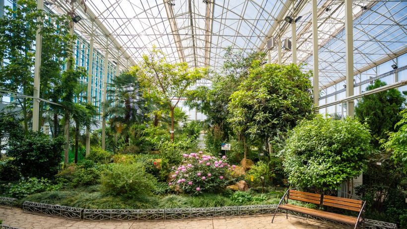 Cum arată floarea care are „cel mai respingător iz din lume”. A înflorit după 15 ani