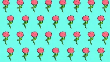 Testul celor 53 de trandafiri | Găsiți floarea diferită de celelalte, în cel mult 5 secunde