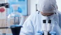 Virusul Shamonda, depistat pentru prima dată la un om. Pacientul a murit