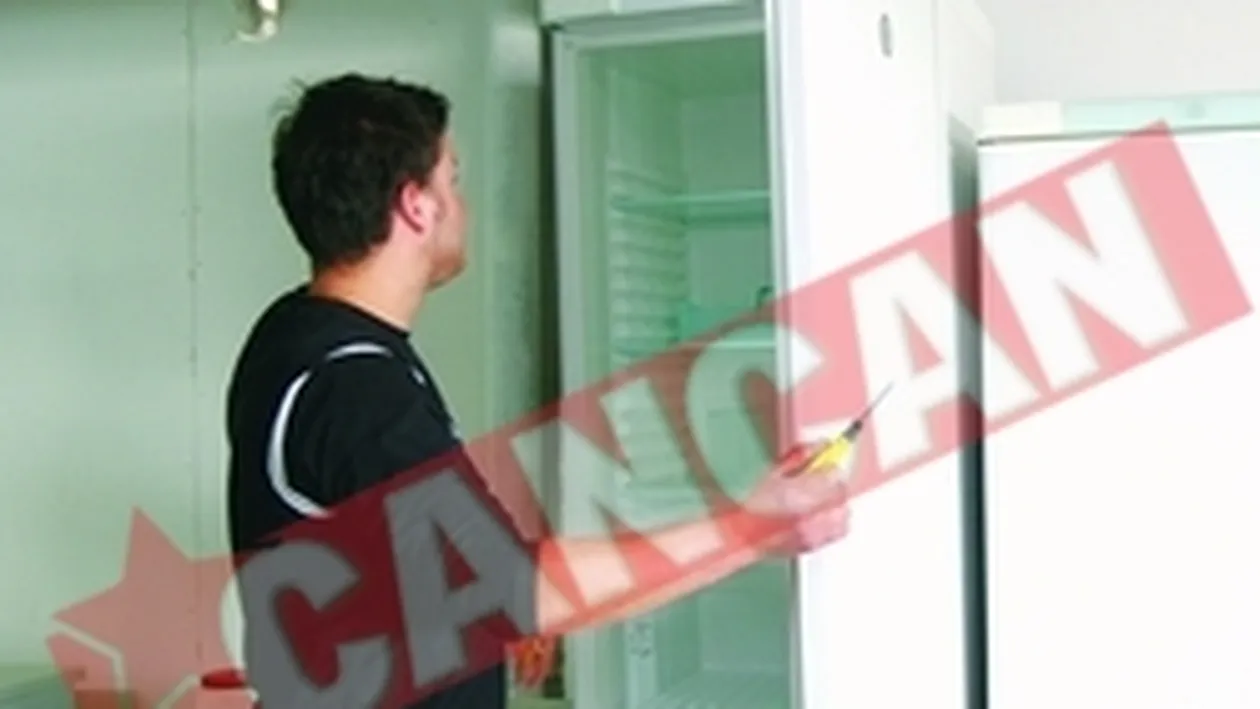 Repararea frigiderelor ne ingheata nervii si buzunarele
