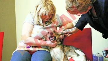 Cainele-erou pleaca in Germania