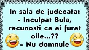 BANC | "Inculpat Bulă, recunoști că ai furat oile?"
