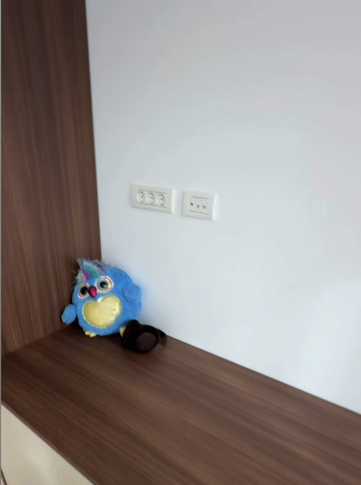 Andreea Popescu a început transformările în noul penthouse. Primele imagini din dormitorul fiicei sale