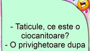 BANCUL ZILEI | "Tăticule, ce este o ciocănitoare?"