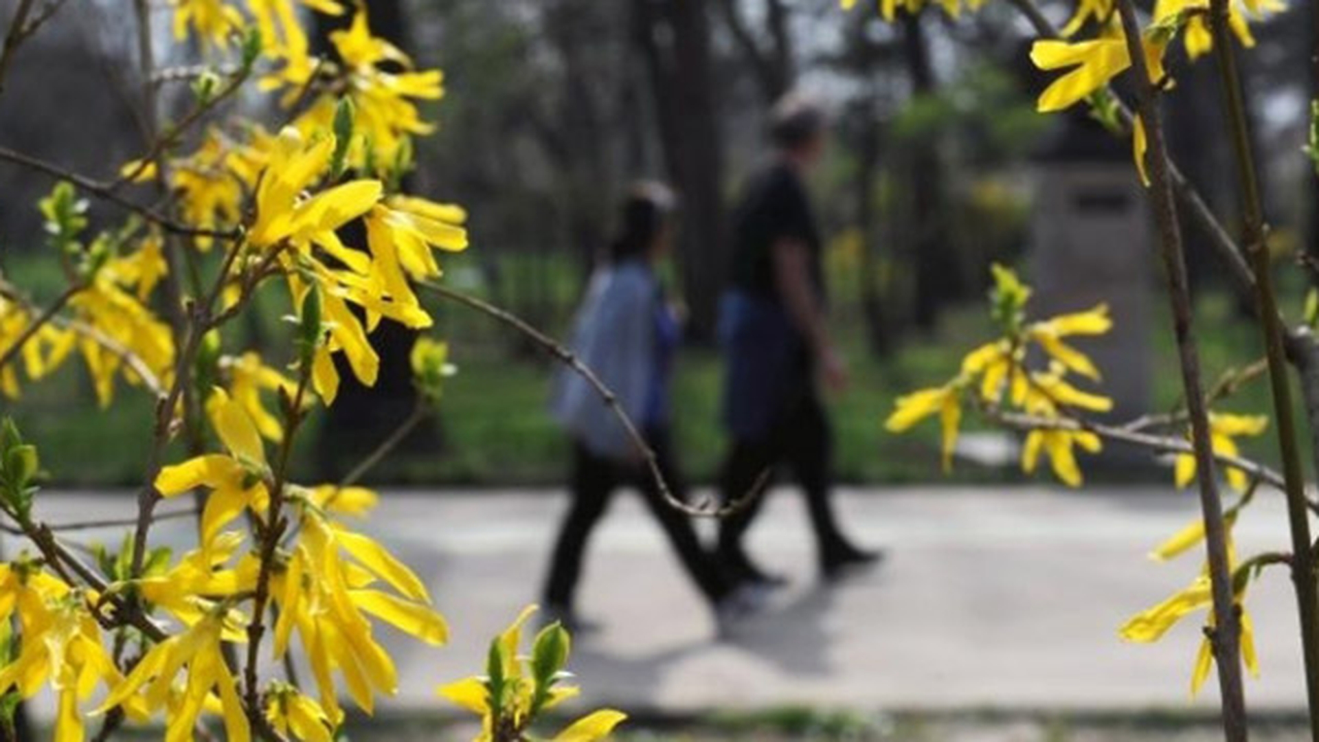 METEO 29 MAI. Vemea se va schimba radical incepand de astazi!