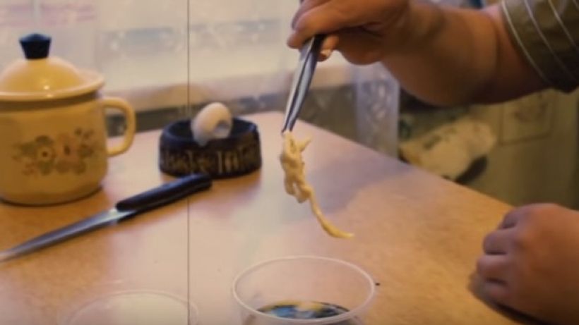 Şi-a ”recoltat” sperma şi a injectat-o într-un ou! După zece zile, a ieşit ceva horror!