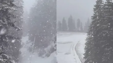 Locul din România unde a nins ca în poveşti. Iarnă la mijloc de martie. VIDEO