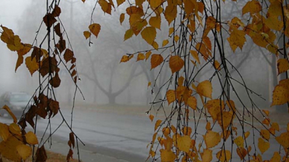 Meteo 25 februarie. Afla cum va fi vremea miercuri, dar si cum sa te imbraci