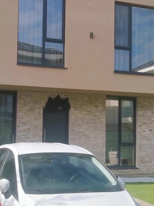 Milionarul s-a gazat în propria casă