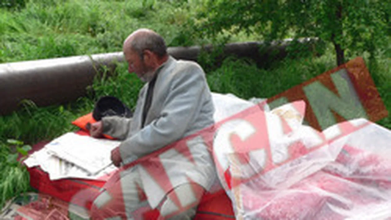 Doarme cu cainii ca sa nu moara de frig