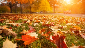 METEO 6 OCTOMBRIE: Vreme anormal de caldă pentru această perioadă! Unde vor fi 28 de grade