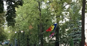 Galerie foto - poza 3