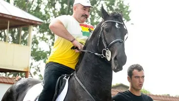 Percheziții în cazul maimuţei pierdute în Bucureşti! Poliţiştii au găsit la Nuţu Cămătaru încă două primate şi o cămilă