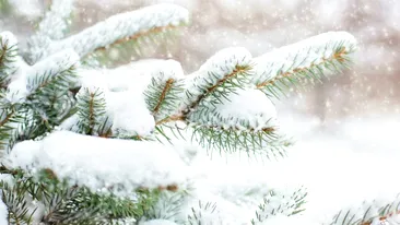 Prognoza meteo azi, 12 ianuarie 2026. Ninge în toată țara: România, sub semnul iernii adevărate și al gerului persistent
