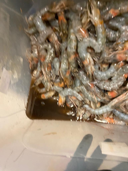 Imaginile care îl contrazic pe Pescobar. Ce au găsit inspectorii ANPC la Taverna Racilor din Timișoara