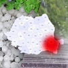 Prognoza meteo azi, 3 septembrie 2026. Sudul și estul o încasează de la vreme! Furtuni, grindină și peste 30 l/mp în numai câteva ore