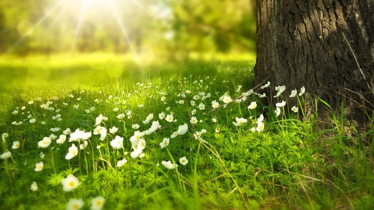 Prognoza meteo 29 mai: Maximele ajung la 30 de grade