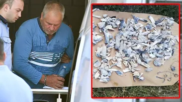 E oficial! Legiștii IML au aflat cui aparțin oasele găsite în curtea lui Gheorghe Dincă