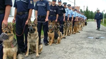 Un șef din Poliția Capitalei susține că subalternii săi vor să îi taie gâtul. Ce s-ar ascunde, de fapt, în spatele acuzațiilor