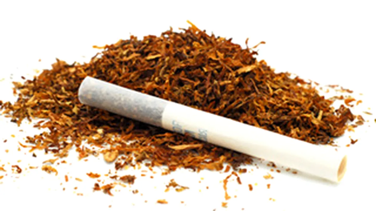 Trei tineri din Drobeta Turnu Severin, retinuti pentru trafic de cannabis!