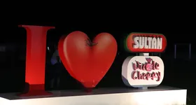 Galerie foto - poza 2