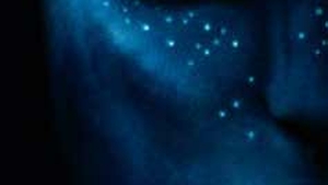Filmul "Avatar", pe primul loc in box-office