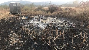 Doi ROMÂNI au fost ucişi cu bestialitate şi azvârliţi pe un câmp. Cum i-au găsit carabinerii este şocant
