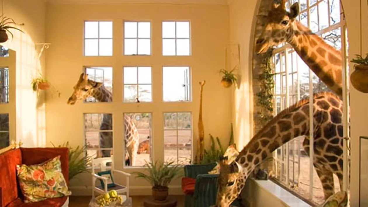 Cele mai neobisnuite hoteluri le ofera clientilor posibilitatea de a experimenta lucruri trasnite