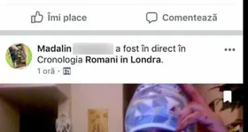 Galerie foto - poza 2