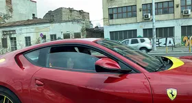 Galerie foto - poza 2