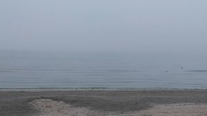 Interzis la plajă, pe malul Mării Negre, după apariţia riscului de holeră! Avertisment de ULTIMA ORĂ