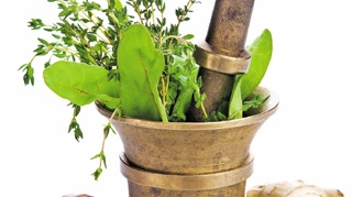 Medicina apeleaza din ce in ce mai des la puterea naturii! Plantele ne ofera solutia "verde"
