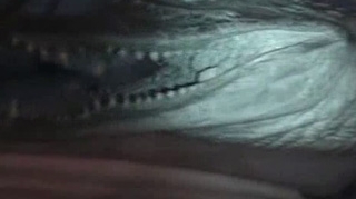 VIDEO Ce mai fura romanii? Bibelouri, scoici si... un crocodil impaiat!
