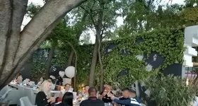 Galerie foto - poza 3