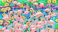 Iluzie optică virală | Găsiți fetița ascunsă printre acești flamingo, în maximum 5 secunde