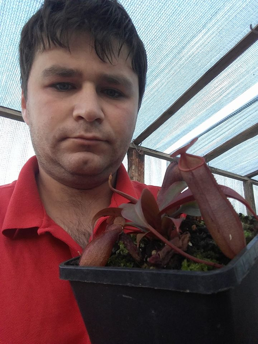 Tânărul sătmărean colecționează plante carnivore, pe care le ține într-o seră