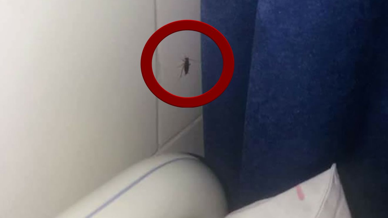 VIDEO REVOLTĂTOR. Copii tratați printre gândaci la Spitalul de Pediatrie din Pitești