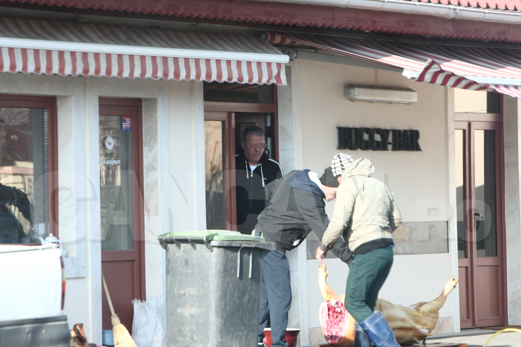 Cum s-a tăiat porcul la barul „Buggy”, de lângă casa lui Gigi Becali. Localul a fost făcut celebru de către verii Becali
