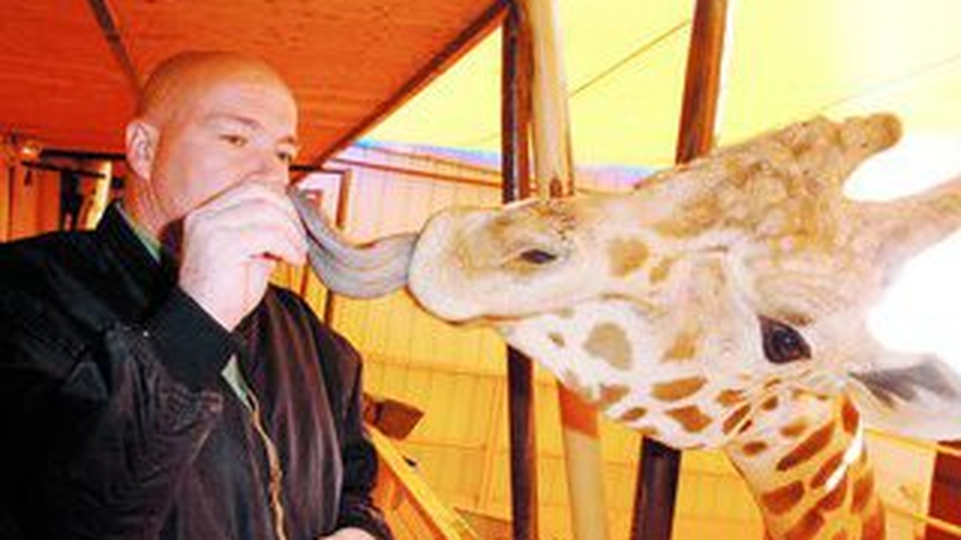 Girafele lui Michael au murit de frig
