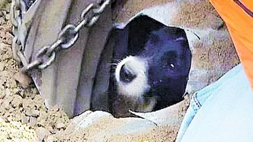 Prins sub pamant timp de 19 ore