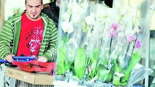 Nu se mai uita la bani de cand e tatic. Damalan renoveaza ca un barosan