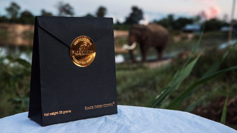 Care sunt, de fapt, cele mai scumpe cafele din lume? Nici cafenelele de lux din Dorobanți nu și le pot permite