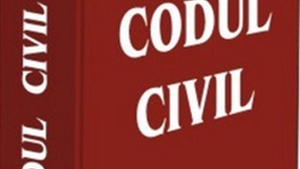 Consiliul de familie, o noua institutie introdusa de noul Cod civil incepand cu 1 octombrie 2011