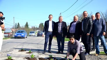 Protest inedit. Mai mulţi primari din Vâlcea au plantat panseluţe în gropile dintr-un drum judeţean, nereparat de 40 de ani