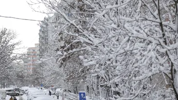 Prognoza meteo emisă de ANM. Se întorc ninsorile în România! Ce zone sunt vizate