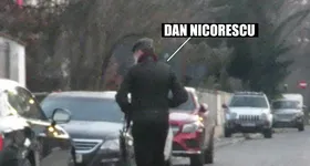 Galerie foto - poza 4