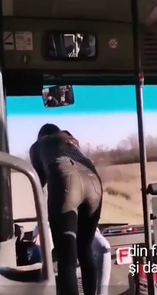 Imaginile zilei | Mai multe tinere din Lugoj au fost filmate în timp ce dansează pe manele, pe bordul unui autobuz. S-a lăsat cu amenințări: ”Au spus că o aruncă în Timiş, că o omoară”